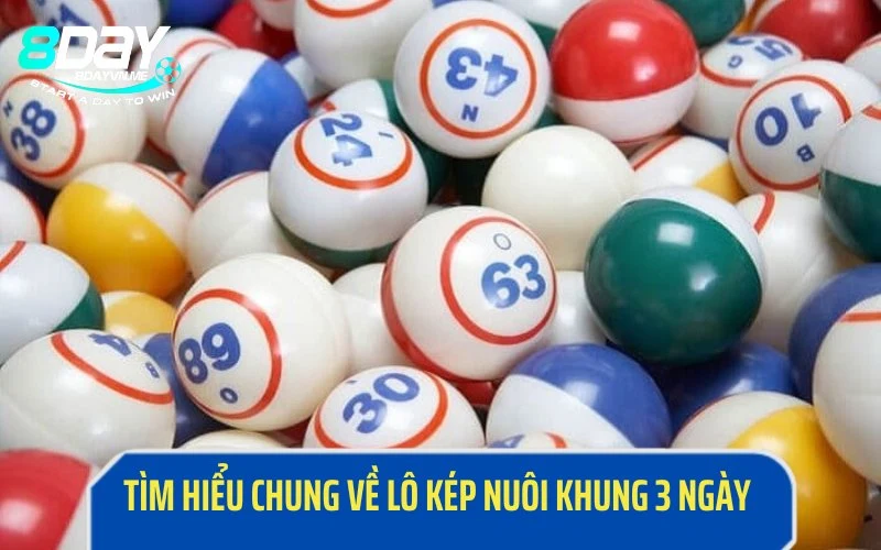 Thông tin cơ bản về lô kép nuôi khung 3 ngày 