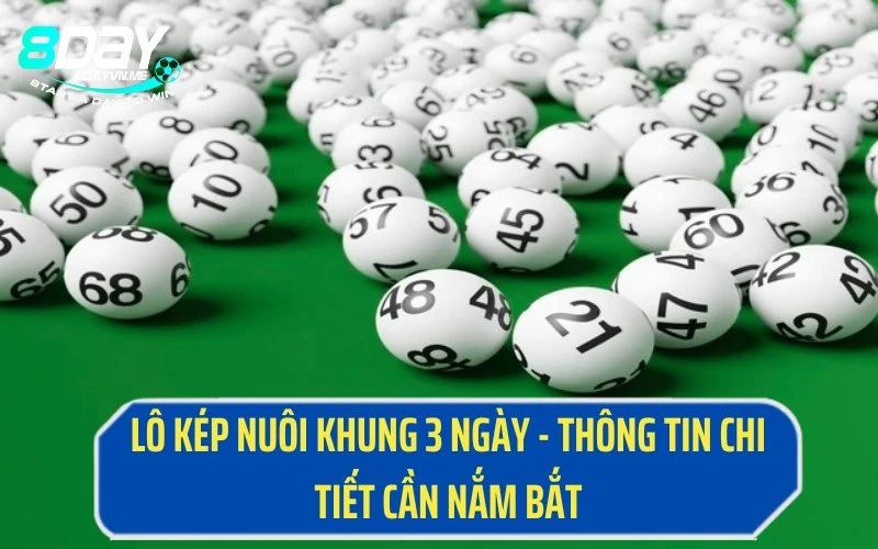 Lô Kép Nuôi Khung 3 Ngày - Thông Tin Chi Tiết Cần Nắm Bắt