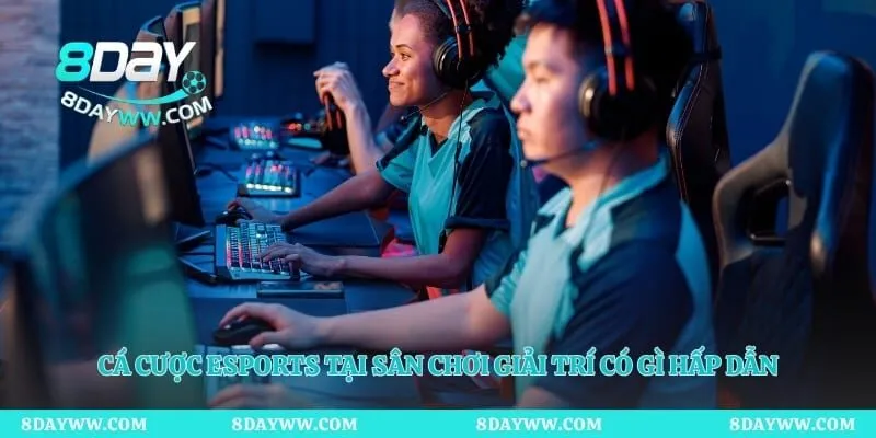 Cá cược esports tại sân chơi giải trí có gì hấp dẫn