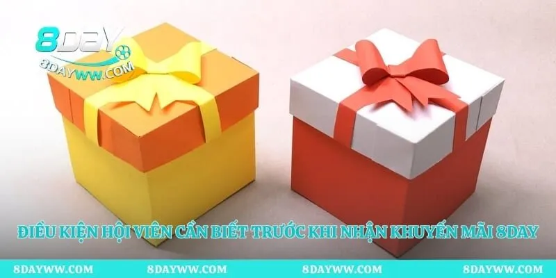 Điều kiện hội viên cần biết trước khi nhận khuyến mãi 8day