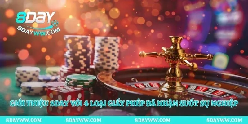 Giới thiệu 8day với 4 loại giấy phép đã nhận suốt sự nghiệp