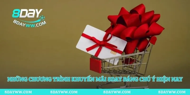Những chương trình khuyến mãi 8day đáng chú ý hiện nay