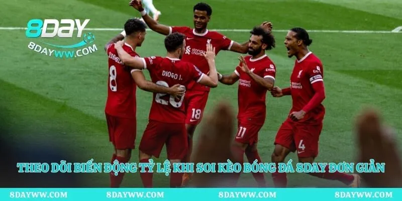 Theo dõi biến động tỷ lệ khi soi kèo bóng đá 8day đơn giản