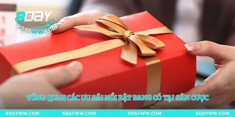 Tổng quan các ưu đãi nổi bật đang có tại sân cược